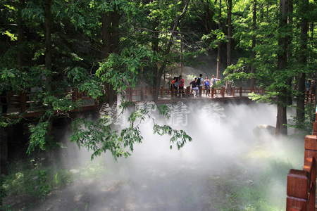 湖南省公園景觀造霧-已竣工(圖2)